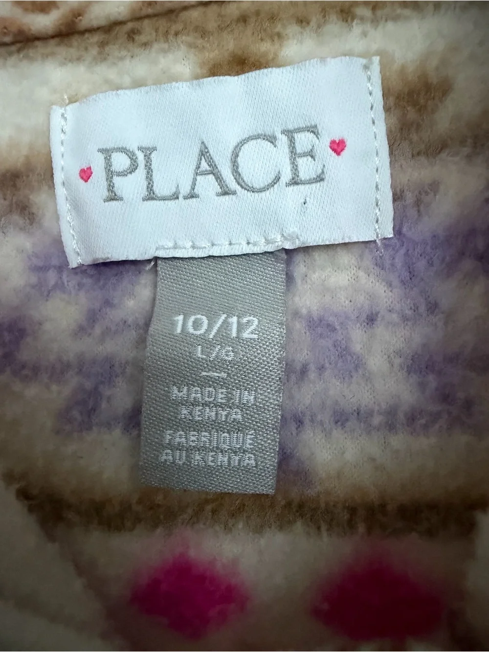 The Children's Place Microfleece Hoodie
